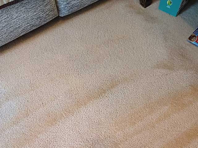 And after.. the carpet is completed cleaned of blood